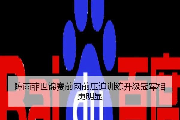 陈雨菲世锦赛前网前压迫训练升级冠军相更明显